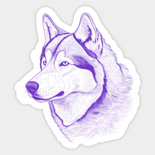 Alaskan Malamute Dog Minimalistic Purple Line drawing Sticker